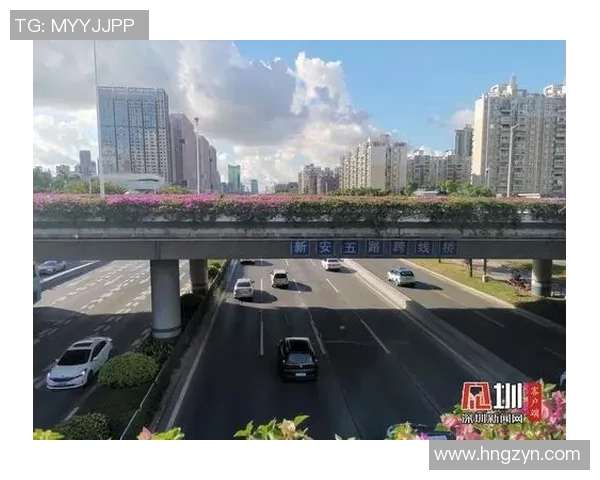 深圳乒乓球队技术水平跃升至新高峰引发广泛关注与赞誉